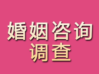 潮安婚姻咨询调查